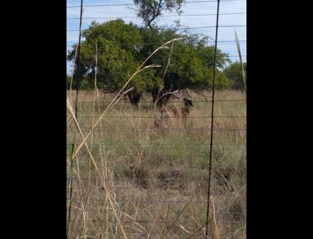 LAND FOR SALE IN DINOKENG